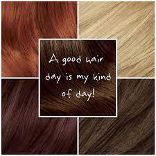 Hair Color Hair Quotes Hair Humor Cool Hairstyles