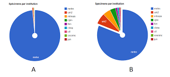 Angularjs Angular Google Chart Remove The Percent From The