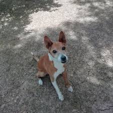 Maria Bort Vicent (@mabortvi)