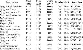 Image result for Syzygium rowlandii