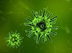 In frankreich ist ein mit dem gefährlichen coronavirus infizierter mann gestorben. Medizinische Fakultat Universitatsklinikum Magdeburg A O R Fragen Und Antworten Zum Coronavirus