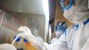 The weekly data will be available as downloadable files in the following formats: Portugal Coronavirus Migrants And Asylum Seekers Given Full Citizenship Rights During Outbreak Cnn