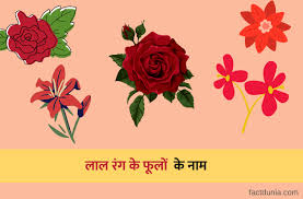 Red Flowers Name In Hindi Archives Fact Dunia