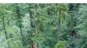 Zweitalerland Familienurlaub Und Wandern Im Herzen Des Schwarzwaldes Mrsberry Kreativ Studio Familien Urlaub Familienurlaub Ausflug