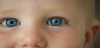 Isabelle a les yeux bleus. Pourquoi A T On Les Yeux Bleus