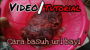 Proses membersihkan plasenta bayi cara mencuci plasenta bayi cuci membersihkan uri bayi / ari ari bayi #cuci #plasenta. Tutorial Cara Basuh Uri Bayi Cara Mudah Youtube