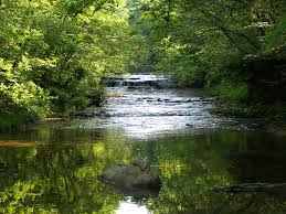 2017-2018 Official Manual State of Missouri