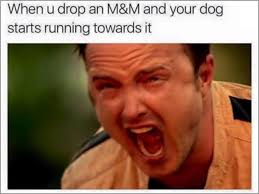 Your weekend meme dankness (30 photos). Dank Memes For The Weekend 28 Memes Thechive