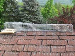 Because of this, we find ourselves in conflict with wildlife. Advanced Wildlife Pest Control 111 Eldred St Williamsport Pa Mapquest