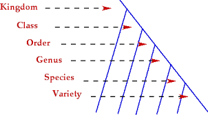 Nomenclature Classification