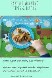 In a nutshell, baby led weaning (blw) is a feeding philosophy that means skipping the purees and starting babies on solid foods by following your child's cues. Baby Led Weaning Blw Anstelle Von Brei Mama Foodblog Baby Led Weaning Baby Feste Nahrung Babybrei
