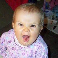 Fran Durso (thefran)