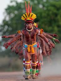 Aprenda aqui como pode ganhar dinheiro online, fazendo dropshipping no brasil e nos eua. Pin By Hannes Wimmer On Original Natives Brazil Culture Tribal People World Cultures