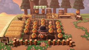 pin by karen on acnh animal crossing animals my animal
