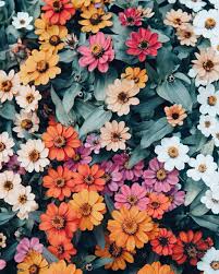 Gratuite per l'uso commerciale attribuzione non necessaria 1000 Images About Fiori Trending On We Heart It