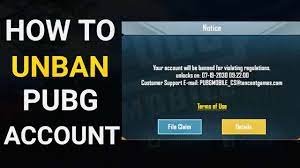If you got banned forget about it and move on. How To Unban Pubg Mobile Account
