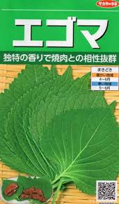 エゴマ ゴマの葉 つる新 種苗店