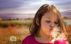 Jill Ring Photography