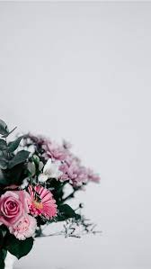 free download the flowers with blank space wallpaper beaty your iphone flower flor in 2021 flower background iphone flower iphone wallpaper space iphone wallpaper