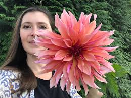 What dahlia varieties are recommended for a mid-Michigan flower farm?