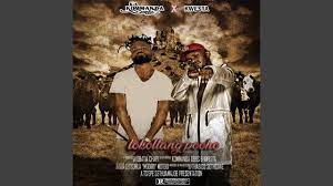 Click start and download the file from converted video action 12 mafenya brothers to your phone or computer once the conversion process is completed. Mafenya Brothers 12 Full Movies Vdmate Download Ingulec Shahtar Sportivna Kirovogradshina Ingulec In Codedwap We Do Not Support Movies Piracy Since The Movies Here Are Not Hosted