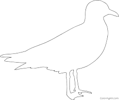 The hex codes can be found underneath each of the color swatches. Seagull Coloring Pages Coloringall