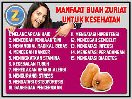 Bahkan, buah zuriat juga dinilai berkhasiat untuk membantu wanita yang tengah menjalani program. Cara Minum Jus Buah Zuriat Yang Tepat Buah Penyubur
