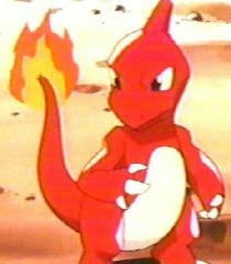 Výsledek obrázku pro charmeleon