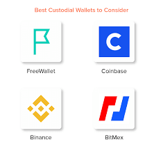 Sylo broadens the scope of status to include bitcoin and. Custodial Vs Non Custodial Wallets Working Differences
