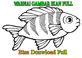 Download gambar sketsa ikan hiu logo hiu pictures free gambarcoid via gambar.co.id. Mewarnai Gambar Ikan Yang Seru Dan Menarik Untuk Anak Anak