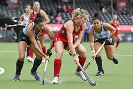 Image result for Ochna hackarsii