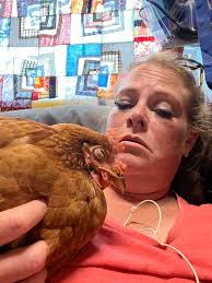 When to return chicken to flock after crop issue?