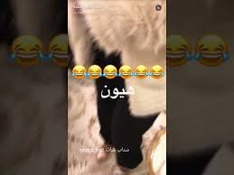 اللقاء الأول بين هيا الغماس و ملاك الحسيني Youtube