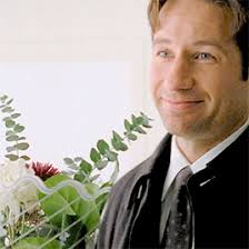 X-Files Fandom Never Dies: 11 Newer MSR Fics I Recommend • ShipRecced