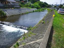 金目川（かなめがわ）は、神奈川県西部を流れ相模湾に注ぐ二級河川。 金目川 水系 の本流である。 平塚市上平塚の 渋田川 との合流点より下流は 花水川 と呼ばれる。 ã‚¹ã‚¿ãƒƒãƒ•ãƒ–ãƒ­ã‚° æ ªå¼ä¼šç¤¾ ã‚³ãƒ ã‚¹ã‚¿ã‚¤ãƒ« åŠ è—¤ å'Œä¿Šã®ãƒ–ãƒ­ã‚°