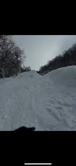 This is an amazing day supporting an amazing organization (did you know  it's free for participants?). I volunteered here for 8 years (taking a  break while taking care of my Dad). You