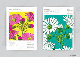 Hier findet ihr eine liste mit inspirationen und ideen für eure hochzeitsblumen. Hand Gezeichnet Close Up Chrysantheme Blume Kunstlerische Vektor Illustration Stock Vektorgrafi Crushpixel