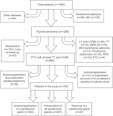 effect of autotransplantation of a parathyroid gland on