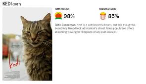 Movie Kedi Available On Neflix Youtubered Cats Amino