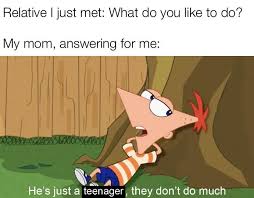 Making A Meme From Every Phineas And Ferb Episode Season 1 Episode 1 In 2020 Phineas And Ferb Memes Funny Relatable Memes Phineas And Ferb