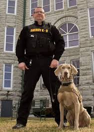 K9 Tundra E O W 16 February 2017 My Condolences To The Jasper County Sheriff S Office And Cpl Matt Smith F Military Service Dogs Weimaraner Dog Movies