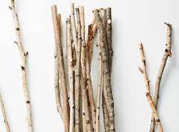 Christmas tree twig decoration element. Anthropologie Ridiculed For Selling 40 Bundle Of Twigs The Independent The Independent