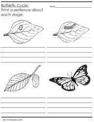 Life Cycle Of A Butterfly Worksheets Worksheets Kindergarten Science Kindergarten Worksheets Printable Science Worksheets