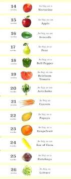 28 Judicious Fruit Chart For Pregnancy
