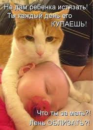 приколы с кошками смешное видео про котов 100 позитив Smeshnye Citaty Mysli Aforizmy Soobshestvo Google Chernomyrdinki Citaty Statusy So Smyslom Citaty Funny Babies Funny Baby Quotes Funny Meme Pictures