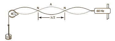 Wave on a String