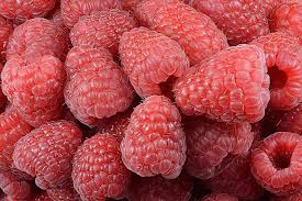 Image result for Rubus kirungensis