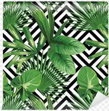 Aesthetic palm leaves shadow overlay effect, aesthethic, overlay effect, . Tropical Palm Leaves Pattern Geometric Background Palm Leaves Png Image With Transparent Background Toppng