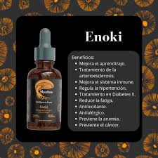 Enoki — Mycellium