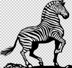 Alibaba.com offers 6,763 zebra colorant products. Drawing Line Art Zebra Coloring Book Png Clipart Animals Art Black And White Color Coloring Book